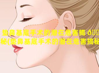 垫鼻基底手术的潜在危害揭 💐 秘(垫鼻基底手术的潜在危害揭秘图片)